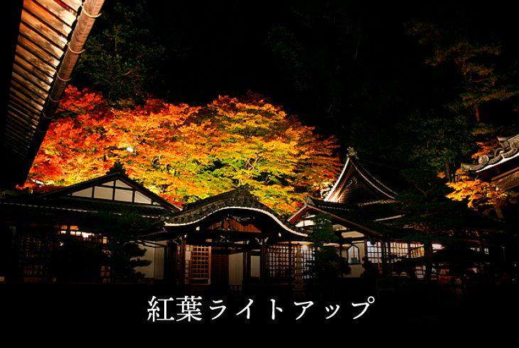 紅葉ライトアップ