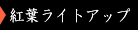 gtCgAbv