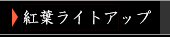 ̍s